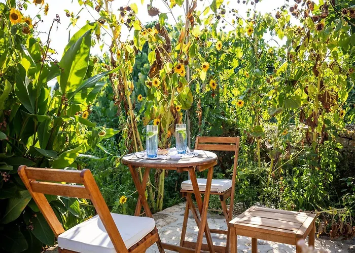 Apartamento Stone House Harmony - One Bedroom With Patio And Garden View 1 Zrnovo